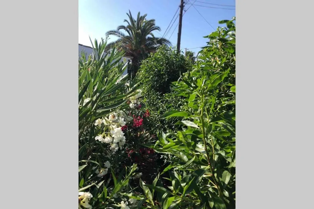 Holiday home Casa Mia Nearby Beach Of Cala Santanyi